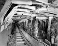 42-1988-Coal