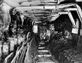 44-1988-Coal.