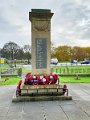 964-All Wreaths