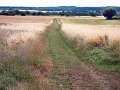 451-Route