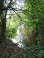 453-View of