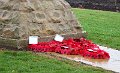 494 View of Memorial
