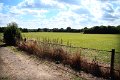 621-Bare Warsop
