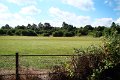 623-Bare Warsop