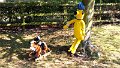 879-Part two  of this Scarecrow Exhibit on Show in the Village.